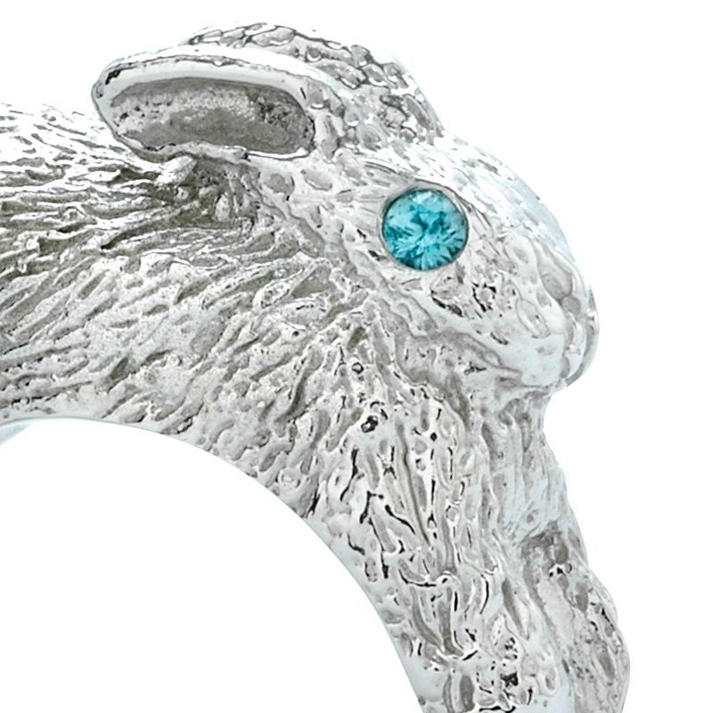 The Order of The Bunny Rings