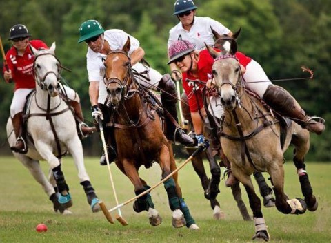 Polo Match 2015 action
